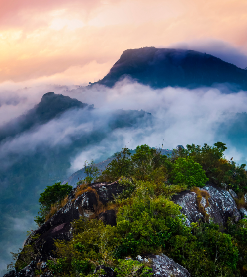 Wayanad